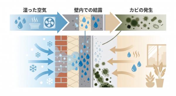 カビが生える流れの画像